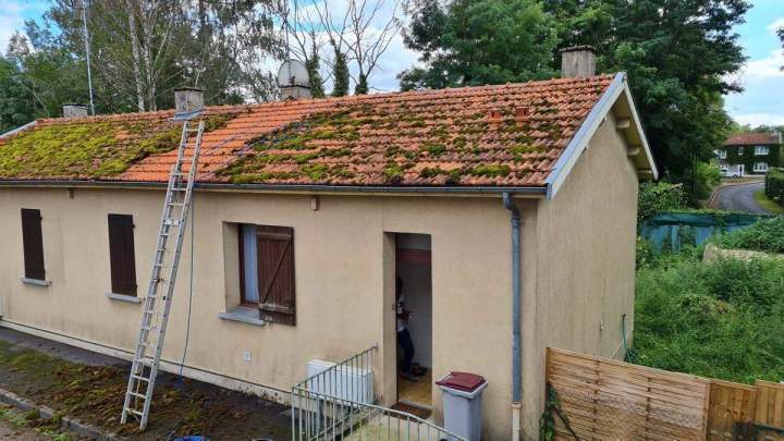 Démoussage de toiture Vitry-le-François